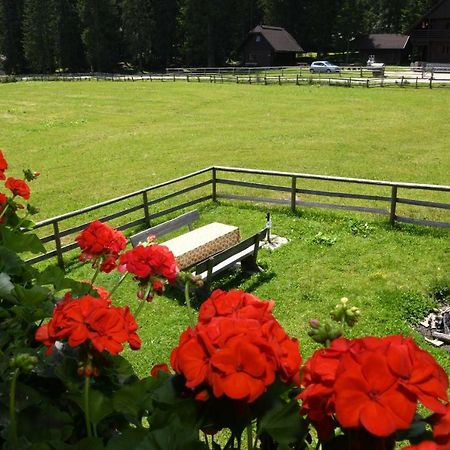 Pocitniska Hisa Jurcek Pokljuka Vila Goreljek Exterior foto
