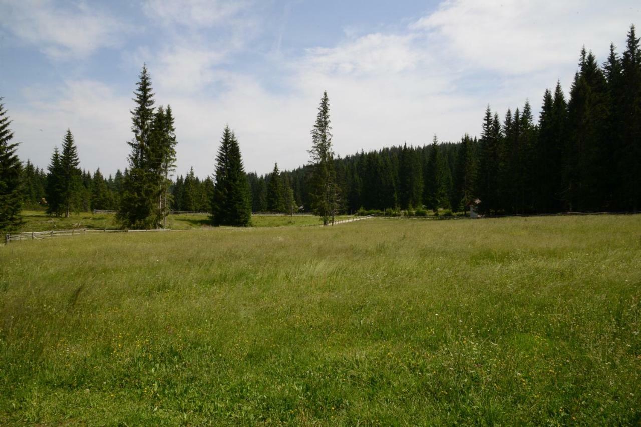 Pocitniska Hisa Jurcek Pokljuka Vila Goreljek Exterior foto