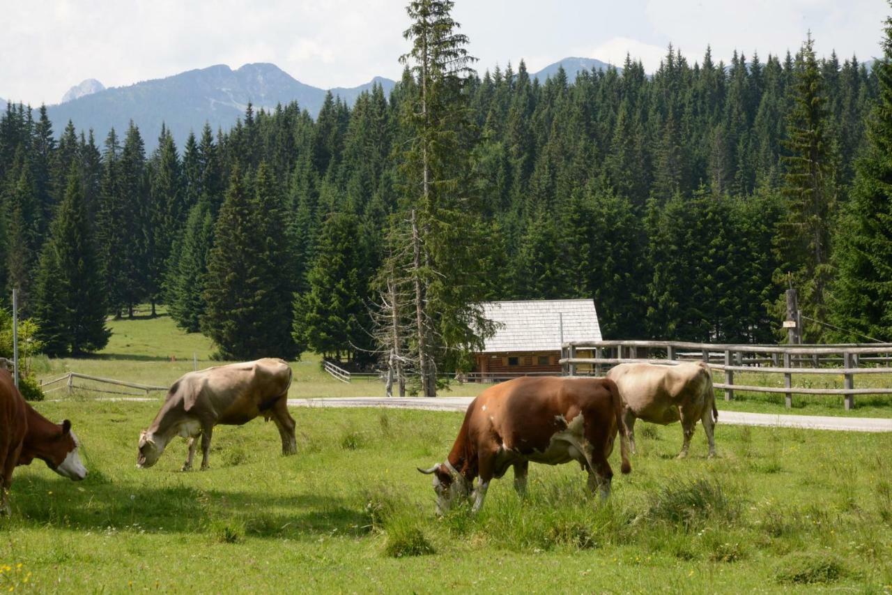 Pocitniska Hisa Jurcek Pokljuka Vila Goreljek Exterior foto