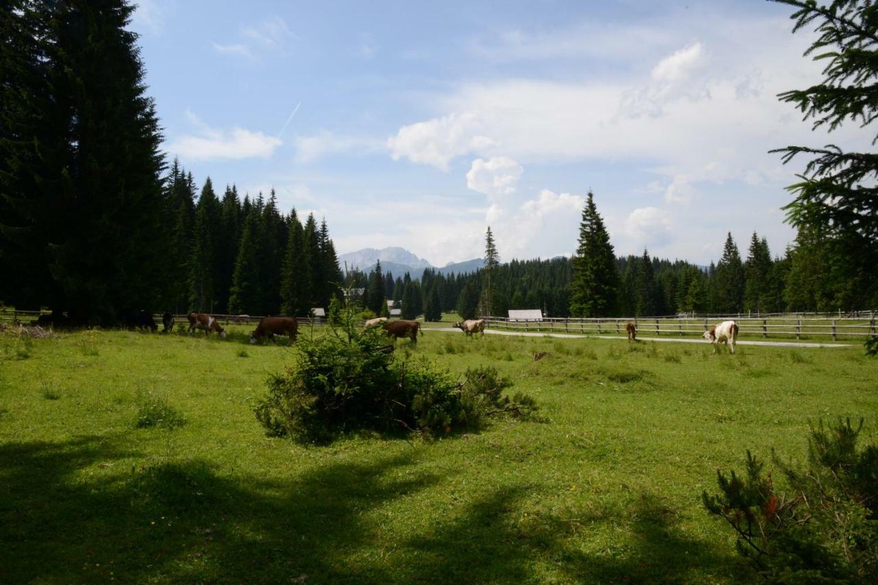 Pocitniska Hisa Jurcek Pokljuka Vila Goreljek Exterior foto